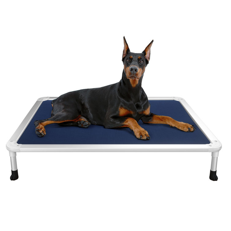 Chew resistant hotsell dog bed